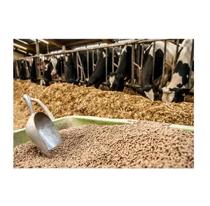 Cheap Price Soybean Hull Pellet Soybean Meal Poultry Feed/ Soybean Meal Fish and Chicken Feed For Sale