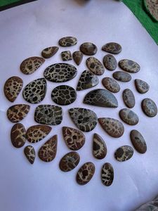 Venta al por mayor 100% Natural pulido Septarian piedra preciosa cabujón joyería suelta hacer piedras para decoración del hogar hecho a mano - Product Image 3