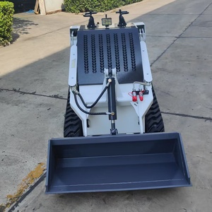 DPS-T460 मुक्त शिपिंग मिनी स्किड स्टीड लोडर 0.2t 300 किलोग्राम 0.4टन रेटेड लोड को बाल्टी अटैचमेंट के साथ ट्रैक किया - Product Image 2