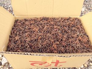 High Quality Dried Star <b>Aniseed</b> From Vietnam Best Price Spring Star Anise Single Spices & Herbs Agrikim - Product Image 4
