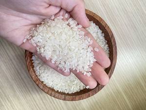 Arroz Blanco Japonés de Grano Corto Limpiado con Sortex de Alta Calidad, 3% de Grano Partido, Textura Dura, Uso en Alimentos Secos, Vietnam OEM +8498215 - Product Image 5