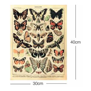 Impresión artística de Adolphe Millot, hermoso patrón de mariposas en naturaleza muerta - Product Image 3