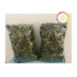 Feuilles de papaye pures récoltées directement à partir des fermes du Vietnam, feuilles de papaye séchées en vente à bas prix, vente en gros de feuilles de thé de papaye - Product Image 4