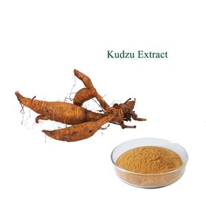 Fornecimento Natural Pueraria Lobata Extrato Em Pó <span class=keywords><strong>Puerarin</strong></span> 10% <span class=keywords><strong>40%</strong></span> 98% Extrato De Raiz De Kudzu Em Pó - Product Image 4