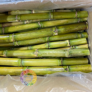Bâton de canne à sucre brut frais de haute qualité canne à sucre verte congelée pelée en gros produits agricoles processus IQF en vrac - Product Image 6
