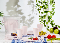 Ensemble de pique-nique portable moderne Afossa, 32 pièces, léger, durable, sans BPA, en plastique, assiettes, tasses, couverts, pliable, boîte de rangement 10L+