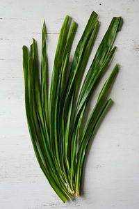 Feuilles de Pandan/Screwpine glacées-Décoration de plat | Feuilles de gingembre aromatiques | Infuser le riz et les desserts - Product Image 4