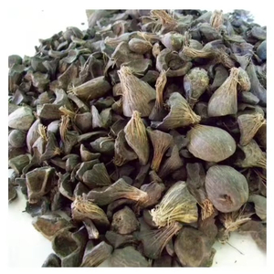 Coquille de noyau de palme à bas prix huile de palme charbon actif industrie du carburant Coquille de noyau de palme sèche pour coque de charbon de bois - Product Image 1