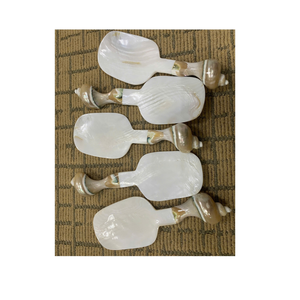 Basé au Vietnam 99 Gold Data Exports Cuillère en nacre et cuillère en coquillage pour la vaisselle et les épices de luxe - Product Image 5