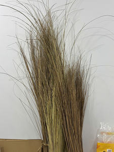 Bâtons de balai Midrib de noix de coco pour le ménage et l'extérieur - Product Image 5