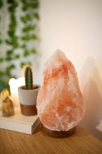 Grande lampe au sel naturel de l'Himalaya 30 à 50kg, Lampes au sel de l'Himalaya au meilleur prix, Lampes au sel de la meilleure qualité - Product Image 4