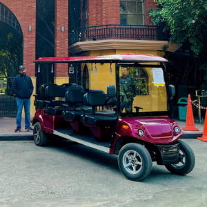 Buggy de golf LuxRide 8 passagers - Product Image 2