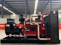 300kW 375kVA Erdgasgenerator mit Hanma-Motor für Industrielle Stromversorgung Wasserkühlung Automatisches Startsystem