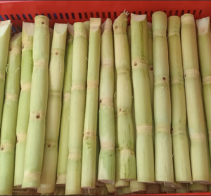 ชิ้นอ้อยแช่แข็งสำหรับการเตรียมน้ำผลไม้ได้อย่างราบรื่นและใช้ทำอาหาร-น้ำอ้อยธรรมชาติจากเวียดนาม - Product Image 5