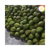 Geselecteerde Verse Durian Uit Vietnam Verzonden Als Verse Durian 99 Goudgegevens, Perfect Voor Fruitmarkten En Snacks