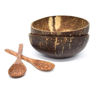 Cuillère à café durable ustensiles de bar cuillères à noix de coco pour déguster et servir des boissons - Product Image 4