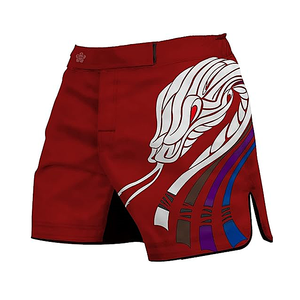 Pantalones cortos MMA duraderos de alta calidad, diseños exclusivos en varios tamaños, Material de algodón para entrenamiento, precios de mercado razonables - Product Image 5