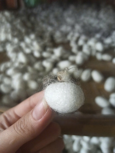 Fournisseur en gros d'exportation de cocon de soie naturelle du Vietnam, traitement de beauté haut de gamme - Product Image 3