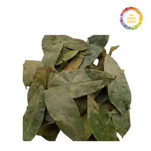 Hojas de Guanábana a granel secas de forma natural en Vietnam y empaquetadas para uso en el procesamiento de bebidas mezcladas y la mezcla de ingredientes - Product Image 5