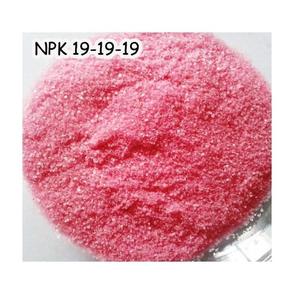 ผงปุ๋ยละลายน้ำ19-19-19 NPK บรรจุแบบกำหนดเอง - Product Image 5