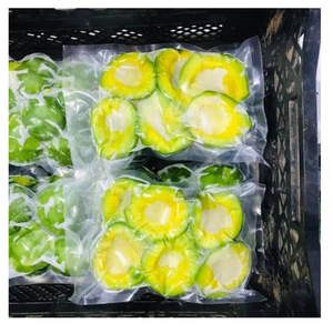 Moitiés de purée d'avocat surgelés Morceaux Fabricant du Vietnam Vente en gros Meilleur prix - Product Image 5