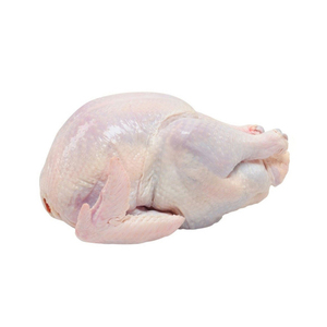 DINDE ENTIÈRE HALAL CONGELÉE/TURQUIE | DINDE ENTIÈRE CONGELÉE TRANSFORMÉE - Product Image 6