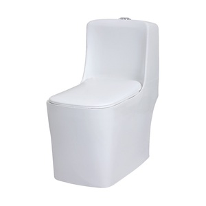 Inodoro de cerámica de una pieza minimalista moderno de la India con tapa de cierre suave y descarga de alta eficiencia 2025 - Product Image 1