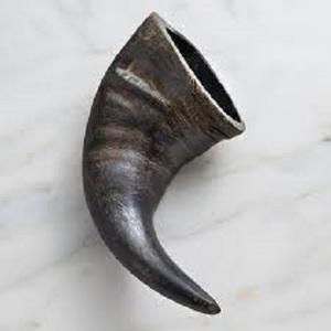 Friandise dentaire sculptée pour chien, 100 % naturelle, en corne de buffle d'eau, longue durée, provenance éthique, riche en protéines, faible en gras - Product Image 2