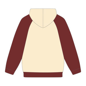 Sudadera con Capucha de Manga Raglán Neutral con Bordado Chenille de la Hermandad Griega Delta Divine Nine, Estilo Universitario, Educativa en HBCU - Product Image 3