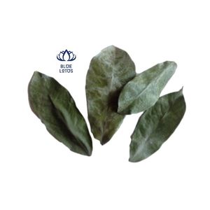 Soursop ออกจากเวียดนาม - Product Image 2