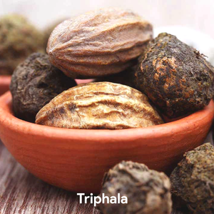 Polvo de extracto de semilla de Triphala de alta calidad, enfoque holístico para una digestión y un metabolismo equilibrados - Product Image 2