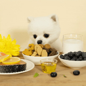 [Vetter] Vetter glucosamina Dang tabletas para masticar mascota perro gato suplemento para el cuidado de la salud nutrición articular el buen artículo más vendido - Product Image 4