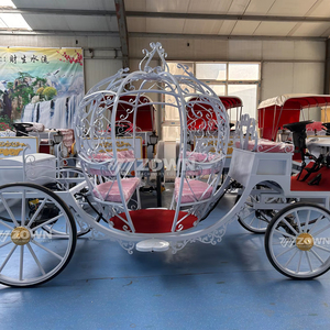 Carrozza nuziale 2025/moda nuovo prodotto trasporto speciale carrozza/auto per vacanze turistiche in vendita a prezzo speciale - Product Image 2