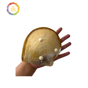 Plaques de nacre en vrac exportateur abordable en gros poli brillant brillant surface de la coquille naturelle matériau durable - Product Image 6