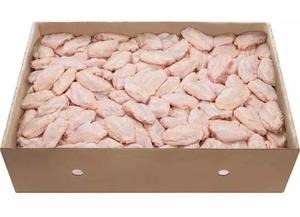 La plupart des ventes d'ailes de poulet en papier, ailes de poulet en papier, le poulet frais est un bon rapport qualité-prix au brésil - Product Image 6