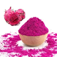 Felroze 100% natuurlijk gedroogd drakenfruitpoeder (voedingskwaliteit) voor instant sappen, thee en voedingsmengsels, 25 KG bulkverpakking