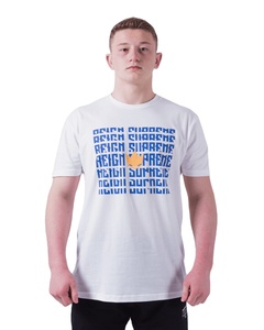 เสื้อยืดคอกลมทรงหลวมสไตล์วินเทจปรับแต่งได้แนวสตรีทผลิตจากผ้าฝ้าย100% ปากีสถานขายส่ง - Product Image 4
