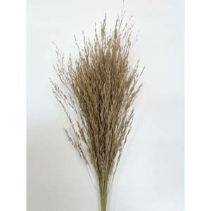 Panier de fleurs séchées Ilalang marron et vert, grand modèle, Bali - Product Image 1