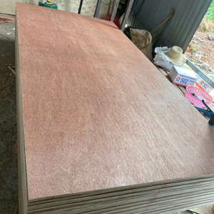Madera contrachapada duradera con núcleo de eucalipto Bintangor para la fabricación de muebles - Product Image 5