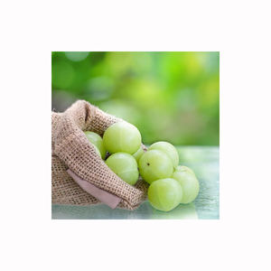 Amla congelée, fruits frais et conservés pour les usines de transformation alimentaire, les supermarchés et les distributeurs d'exportation - Product Image 1