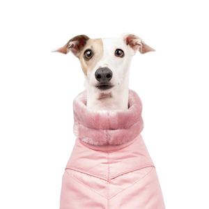 Dog Clothes High Quality pink Water Resistant Thicken <strong>Fleece</strong> Lining Winter Italian <strong>Greyhound</strong> Coat - Product Image 2