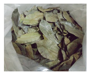 Feuilles de corossol séchées du Vietnam-Meilleur prix, feuilles de corossol Graviola de qualité supérieure pour le thé, prêtes à l'exportation, vente chaude maintenant - Product Image 6