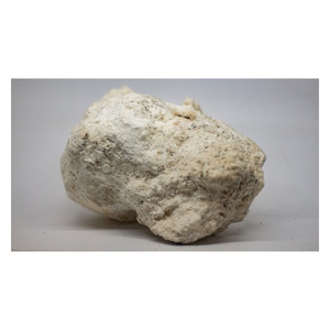 Extrait d'ambre gris blanc de haute qualité, non soluble dans l'eau, sous forme de capsule, OEM/ODM, approvisionnement en vrac, application cosmétique - Product Image 4