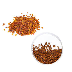 Baies d'argousier bio | Prêt pour les marques cosmétiques et nutraceutiques - Product Image 2