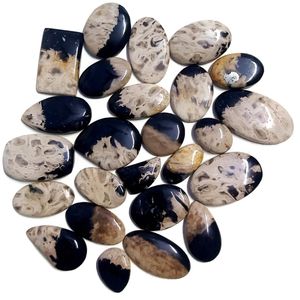 Piedra Preciosa de Raíz de Palma Fósil de Primera Calidad, Piedra Preciosa Natural de Raíz de Palma Fósil, Piedra de Forma Mixta para Joyería - Product Image 1