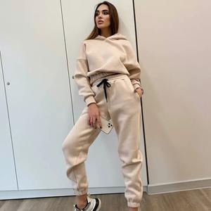 Femmes grande taille 100% coton survêtement ensemble solide motif hiver Fitness vêtements-sweat à capuche pantalon usine en gros de point joueur - Product Image 5