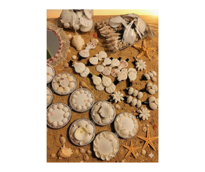 Miroir à main en coquillage fait main du Vietnam - Design en coquillage naturel Idéal pour les voyages, le maquillage et les boutiques de plage - Product Image 2