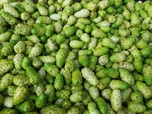 ขายส่ง IQF Morinda Citrifolia ผลิตภัณฑ์100กรัมที่มีคุณภาพพรีเมี่ยม - Product Image 5