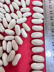 Haricots blancs secs de qualité supérieure Production égyptienne Nouvelle culture - Product Image 6