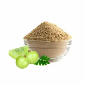 100% Natural Amla Extract Amla Powder For Hair at Wholesale Price